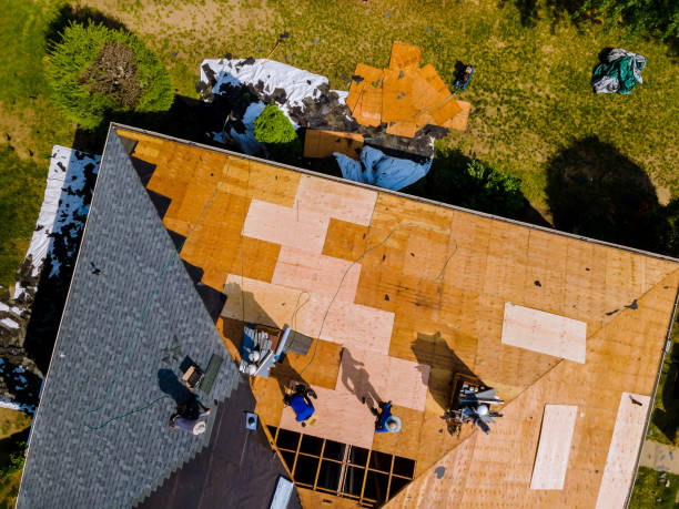Best Metal Roofing Contractor  in Dade City North, FL