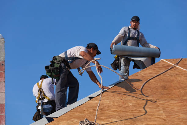 Best Flat Roof Repair Services  in Dade City North, FL